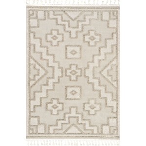 Nuloom Roslin Moroccan High-Low Tasseled Indoor Area Rug, 4' x 6', Beige - 1 of 4