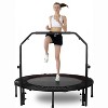 HANPURE 48'' Foldable Mini Trampoline, 300lbs Load, Adjustable Handle, Fitness Rebounder for Adults Indoor/Garden, Xmas Gift - 2 of 4