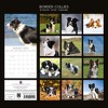 2026 Square Wall Calendar, Border Collies, 16-Month Paw Prints Theme with 180 Reminder Stickers (12x12 In) - 4 of 4