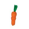AE Cage Company Nibbles Carrot Loofah Chew Toys with Jute - 2 count - 3 of 3