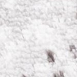 light grey/dark grey