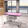 Bencmate Pet Grooming Tools Foldable Pet Grooming Table for Pet Large Dogs and Cats with Adjustable, Bathing Station, Pink, 42.5"*23.5"*63.75" - 2 of 4