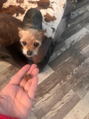 Guest review image 2 of 2, zoom in