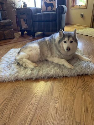 Paw Brands Puprug Faux Fur Portable Orthopedic Luxury Dog Bed : Target