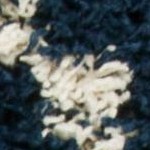 navy/ivory