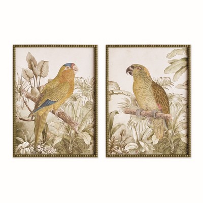 Plum & Post Tropical Parrot Prints, Set of 2 - Brown/Green - Fir Wood