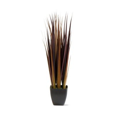 tagltd Redwood Grass