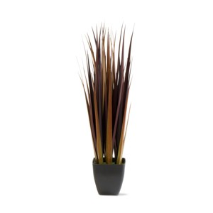 tagltd Redwood Grass - 1 of 4