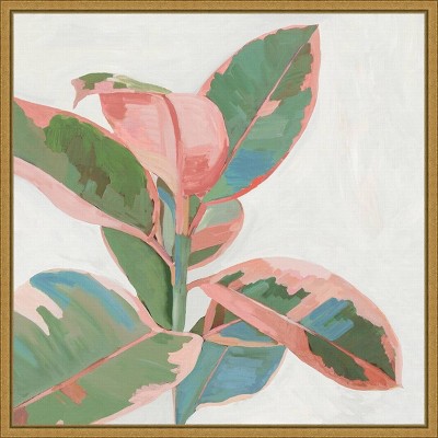 16" x 16" Pink Ficus I by Asia Jensen Framed Canvas Wall Art - Amanti Art