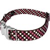 Country Brook Petz Premium Dog Collar - Abstract Collection - 2 of 4