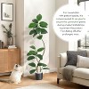 Real Touch Artificial Rubber Tree in White Resin Planter w/Decorative Stones - Faux Fiddle Leaf Style, Tall Indoor Floor Plant for Home Decor - 3 of 4