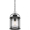 Quoizel Lighting Booker 1 - Light Pendant in  Mystic Black - 4 of 4