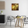 Stupell Industries Vintage Apples Close Up Canvas Art - 3 of 4