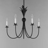 Maxim Lighting Paloma 5 - Light Chandelier in  Anthracite - 3 of 4