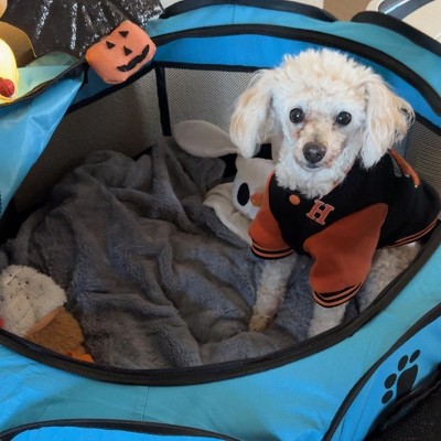 Guest review image 1 of 1, zoom in