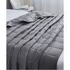 Cotton Machine Washable Weighted Throw Blanket - Dream Theory - 4 of 4