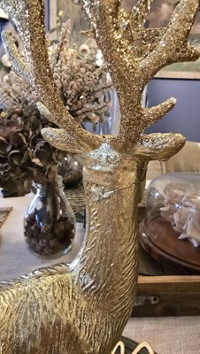 Guest review image 5 of 6, zoom in