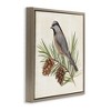 Stupell Industries Bird on Pine Tree Floating Frame Canvas Art, Brown, 25" x 25" - 2 of 4
