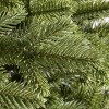 BH Norway Spruce - 2 of 4