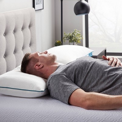 King Soft 2pk Comfort Collection Shredded Memory Foam Pillow - Lucid