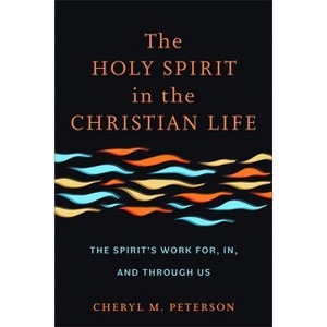 Holy Spirit in the Christian Life - by  Cheryl M Peterson (Hardcover) - 1 of 1