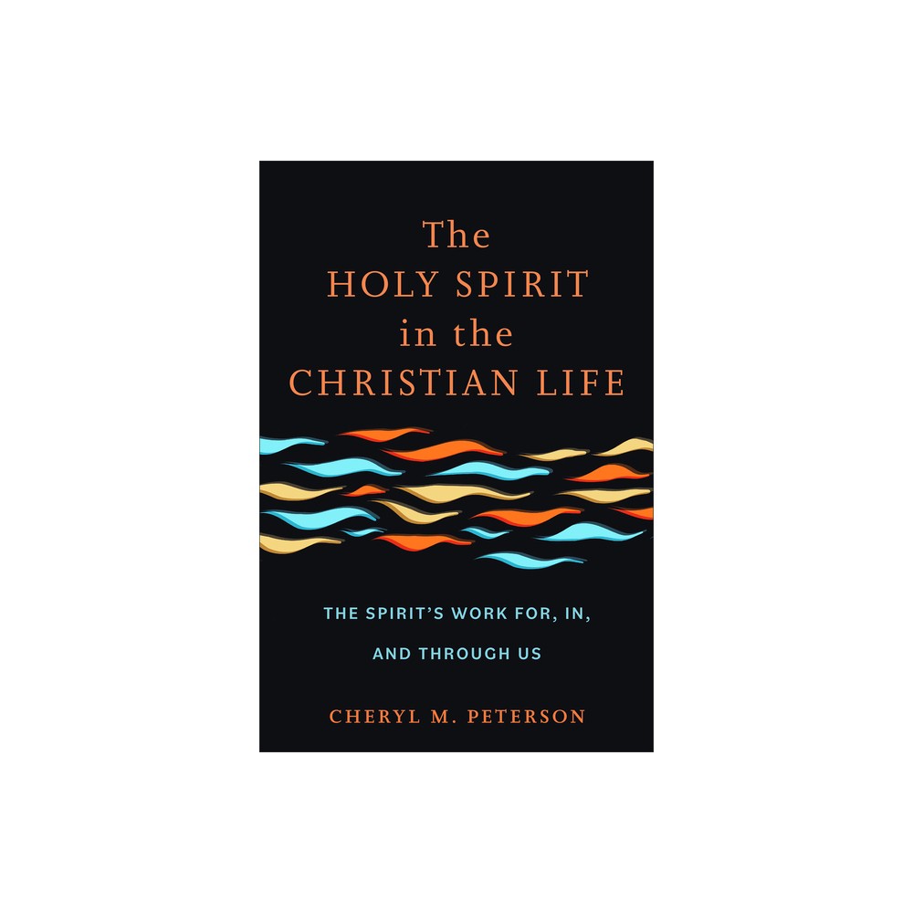 Holy Spirit in the Christian Life - by Cheryl M Peterson (Hardcover)