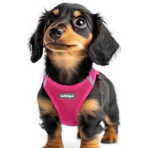 rabbitgoo Small Dog Harness, Step-in Soft Mesh Puppy Vest with Safety Buckle, Breathable Reflective Pet Harness for Extra Small Dogs, Rose Red XXS - 1 of 1