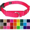 Country Brook Petz Heavy Duty Nylon Martingale Dog Collar with Deluxe Buckle - 30+ Vibrant Color Options - 2 of 4