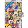 Trends International Keith Kimberlin - Kittens Collage Unframed Wall Poster Prints - image 3 of 4