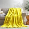 Inhand Fleece Throw Blanket for Couch Sofa or Bed, 50" x 60" Soft Fuzzy Plush Blanket, Luxury Flannel Blanket, Super Cozy and Comfy for All Seasons - 2 of 4