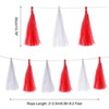 Unique Bargains Party Decoration Reusable Strong Rope Tassel Garland Banner 20 Pcs - 2 of 4