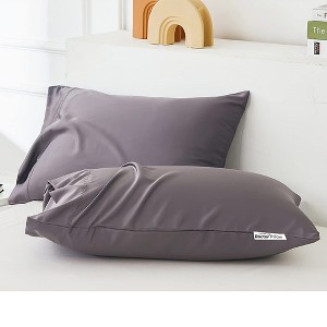 Dr Pillow 100% Viscose Made from Bamboo Breathable Pillowcases Standard Size Set of 2-Pack - 1 of 4