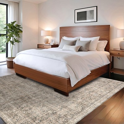 Hillstone Gray Rectangular Synthetic Vintage Medallion Area Rug