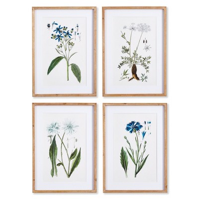 Plum & Post Mountain Botanical Prints, Set Of 4