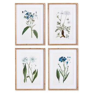 Plum & Post Mountain Botanical Prints, Set Of 4 - 1 of 4