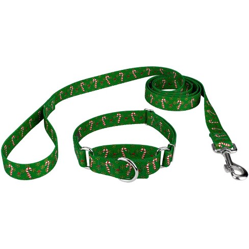 Luxury Choker Chain Dog Collar Large Dog Heavy Duty Gold Pet Training Collar