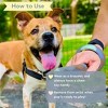 Sweet Paws Silicone Chunky Teether for Dogs - Blush Pink - 4 of 4