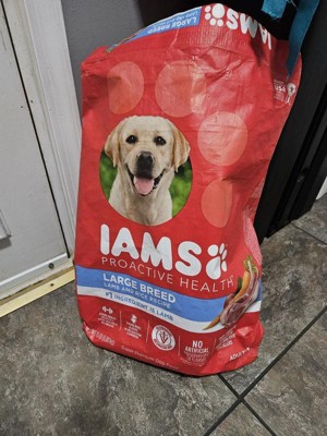 Iams bad for on sale dogs