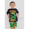 Jurassic World T-Shirt and French Terry Shorts Outfit Set Little Kid to Big Kid - 2 of 4