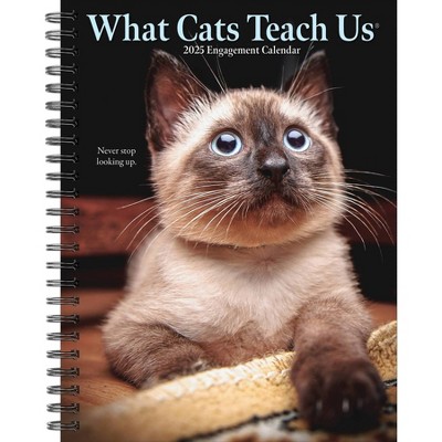 Willow Creek Press What Cat's Teach Us 2025 Engagement Calendar: Weekly Planner, Spiral Binding, 6.5x8.525", Blue, All Ages