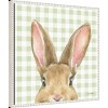 Amanti Art 22"x22" Garden Bunnies VII Green by Leslie Trimbach Framed Canvas Wall Art Print - 2 of 4