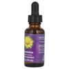 Flower Essence Services Dandelion Flower Essence, 1 fl oz (30 ml) - 3 of 3