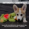 Pups- Dog Toys - Puppy Soothing Heartbeat Warm Bear Comfort Dog Sleep Aid Plush Toy - Pacifier Buddy - Green - 3 of 4