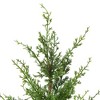 Northlight Artificial Cedar Christmas Tree in Birch Pot - 38" - Unlit - 3 of 4