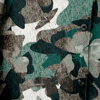 green butterfly camo