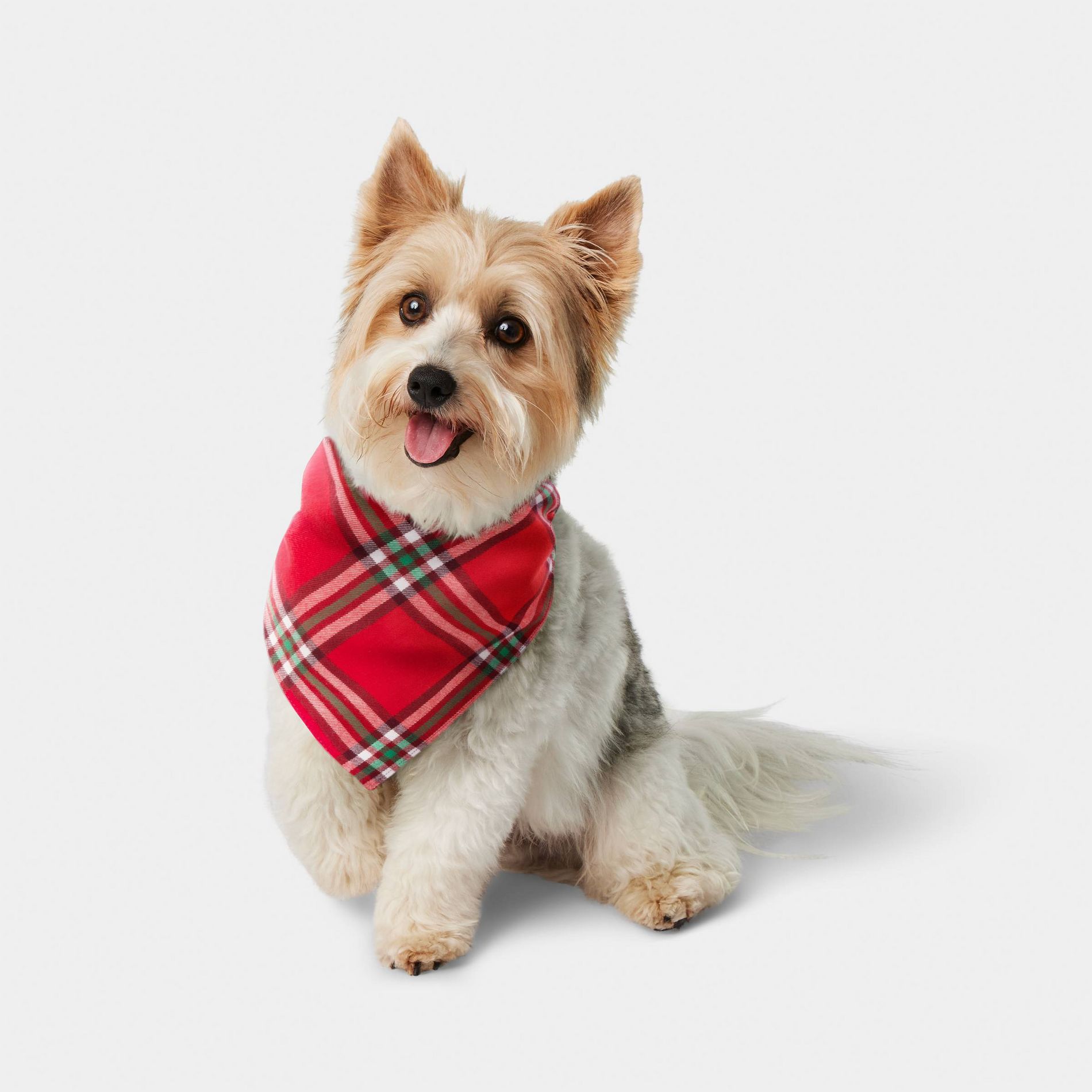 Plaid Dog Bandana - Wondershop™ Red One Size Fits Most