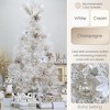 Aoibox 30 Pack 60mm Shatterproof Clear Plastic Christmas Tree Ornaments Set Hanging Transparent Baubles Champagne Holiday Decor - 3 of 4
