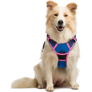 rabbitgoo Dog Harness No Pull with 2 Leash Clips, Oxford No Choke Pet Vest with Easy Control Handle for Large Dogs, Blue & Hot Pink, M - 1 of 1
