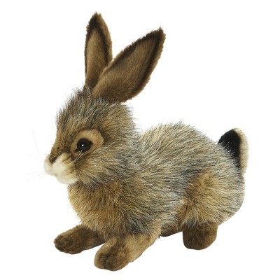 hansa bunny