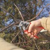FELCO 31, Anvil Style Forged Aluminum Hand Pruner, Large Right Hand, Swiss Made - 4 of 4